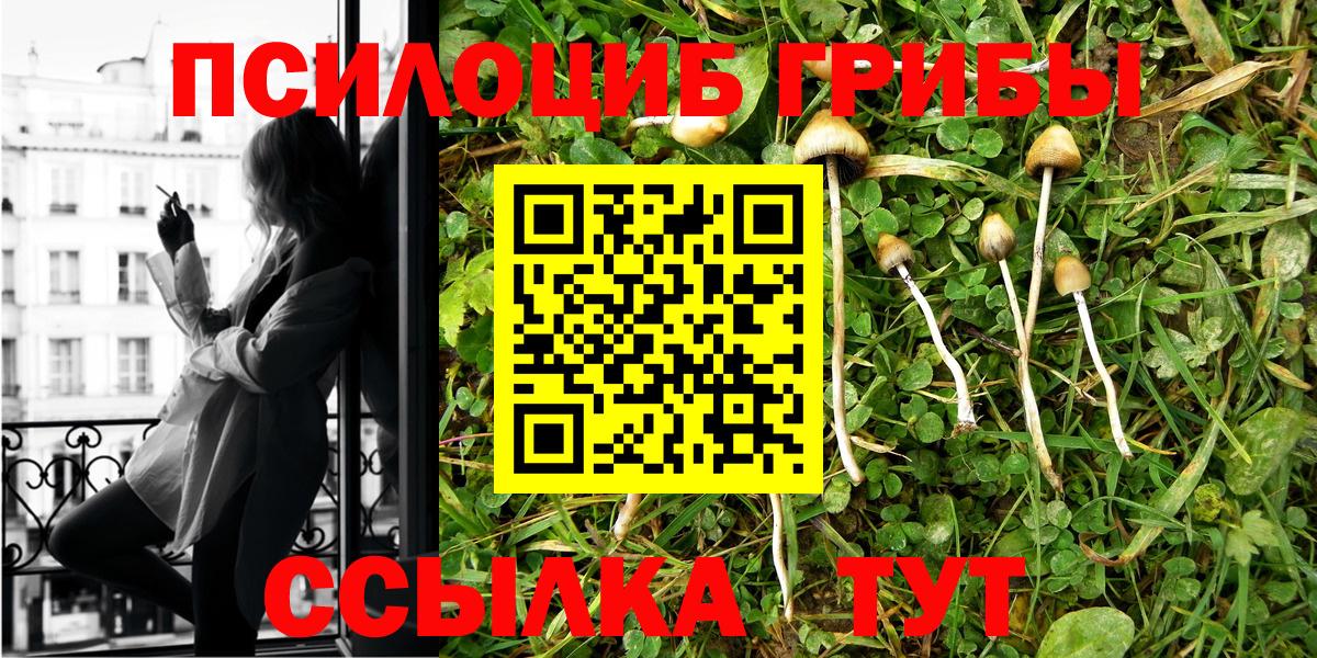 Волжск  Галлюциногенные грибы прущие грибы  Вход с VPN 