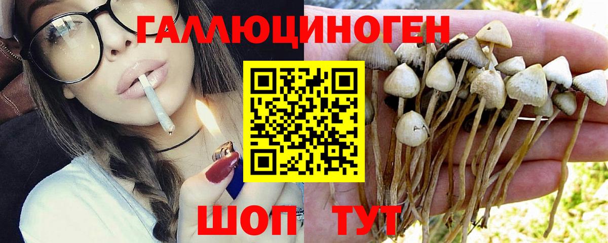 Псилоцибиновые грибы GOLDEN TEACHER Волжск
